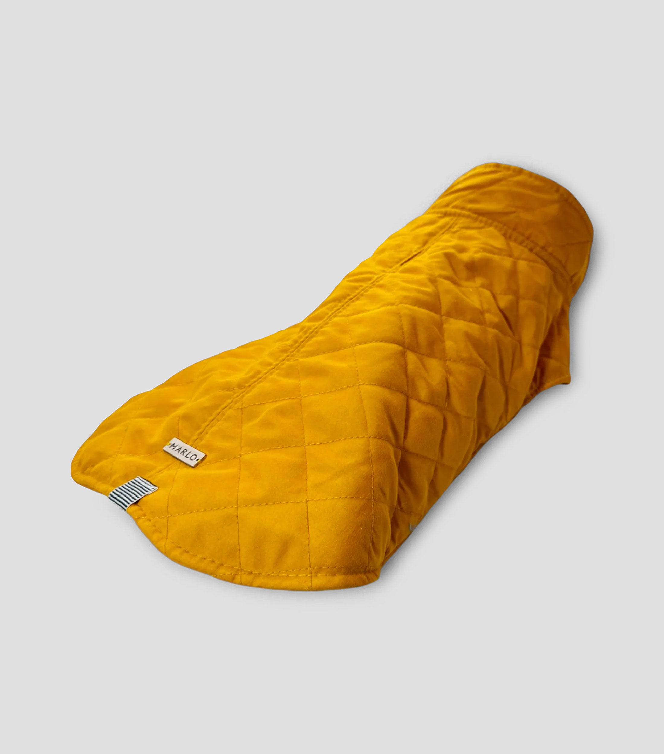 Gabardina para perro, chico